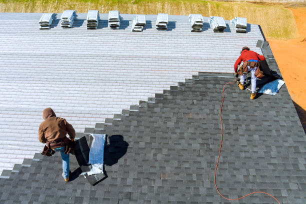 Best Storm Damage Roof Repair  in Crystal Lake, IL